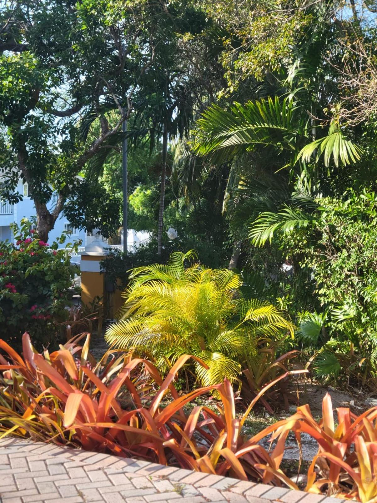 Tangerine Sunsets Tova Holiday home Nassau